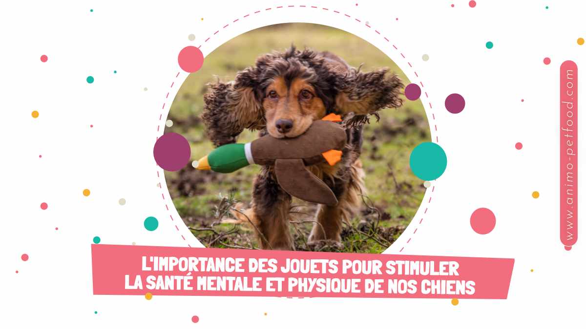 importance-des-jouets-pour-stimuler-la-sante-mentale-et-physique-de-nos-chiens